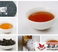 北京小型云南普洱茶品鉴茶会