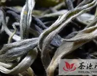 曼松古树茶每公斤报价1.6万3天飙涨6000元