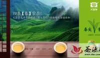 2012大益茶201“春尖青沱”