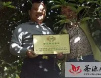 中国普洱茶网讯：土林茶业古茶树认养报道