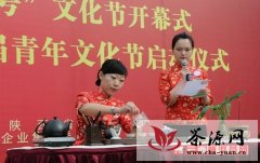 东航西北地面“凌燕”助推陕西省文化节开幕