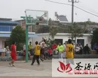 省农科院茶叶研究所举办“迎春节、庆元旦”篮球联谊赛