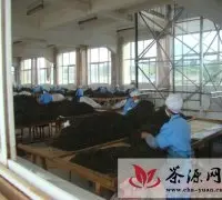 勐库茶叶建成1000吨CTC红碎茶机械
