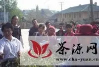 勐海县格朗和茶叶实用技术培训