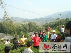 景东县大街乡茶叶生产与加工培训班顺利结业