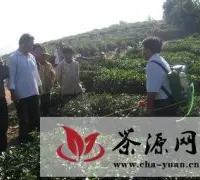 勐海县勐混镇举办茶叶收剪和中耕培土现场培训会