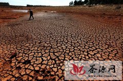 云南遭50年一遇特大旱灾 385万人饮水困难