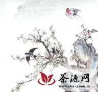 重阳节饮菊花茶的美丽传说