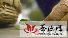 细说中国50种绿茶 果断收藏 慢慢看