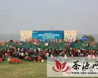 国粹也时尚　深圳湾公园品鉴周末“茶生活”