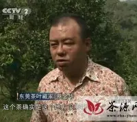 CCTV2央视财经报道：普洱茶在2013大热之后，2014的&quot;震后普