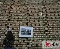 东莞囤茶达30万吨 究竟多还是不多？