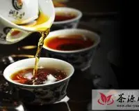 熟茶将成为普洱茶品牌的重要支撑