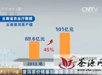 CCTV2报道：普洱茶春茶价格暴起暴落、茶农和茶商如何应对?