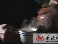 【今日话题】普洱茶品茗高手是怎么炼成的？