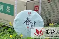 大益春圆青饼————熊市中的蓝筹新股